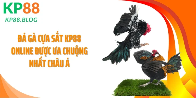 Đá gà cựa sắt KP88 online được ưa chuộng nhất châu Á