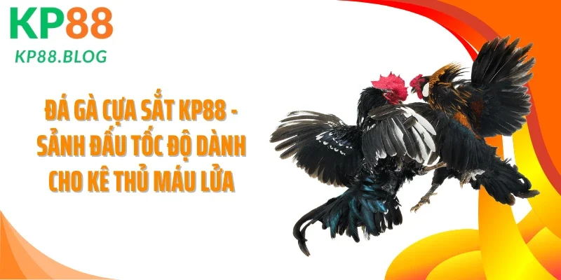 Đá Gà Cựa Sắt KP88 - Sảnh Đấu Tốc Độ Dành Cho Kê Thủ Máu Lửa